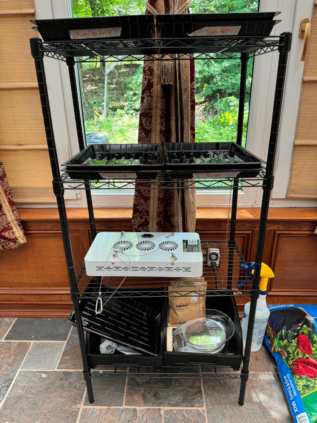 Microgreen setup